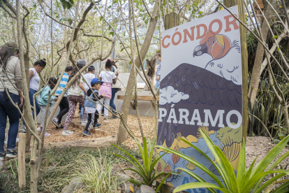 El nuevo espacio ofrece una experiencia educativa basada en el juego y en la estimulación sensorial.