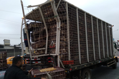 Hecho. Uno de los siniestros registrados durante el fin de semana.