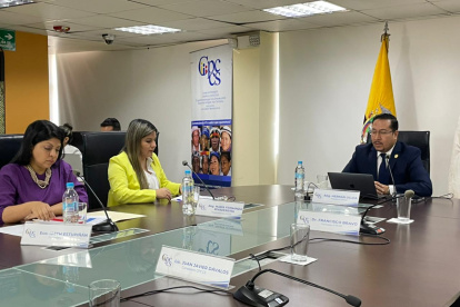 Cuatro de los siete integrantes del CPCCS estuvieron de forma virtual en la sesión de este 31 de octubre de 2022