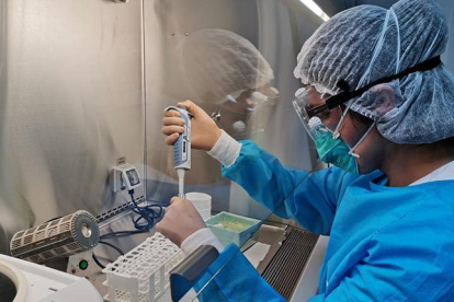 Industria.- Una persona trabajando en las investigaciones de Roche.