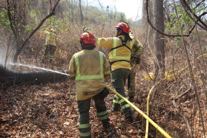 Durante más de nueve horas los bomberos trabajaron para sofocar el incendio forestal en Cerro Azul.