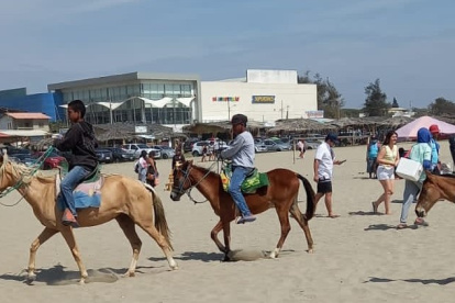 La ciudadanía exige que los caballos no sean utilizados para dar paseos en las playas. Denuncias que no son bien cuidados.