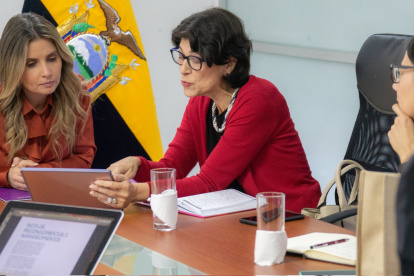 El pasado 01 de noviembre la Secretaria de Derechos Humanos, Paola Flores tuvo una reunión con Ana Elena Badilla, representante de Programa de las Naciones Unidas para el Desarrollo (PNUD) en Ecuador.
