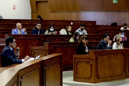 Defensa. Julio César Sarango ha sido designado por Guadalupe Llori como su defensor.