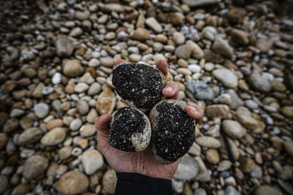 Piedras manchadas de chapapote en el concello coruñés de Muxía, corazón de la Costa da Morte y epicentro del hundimiento del Prestige. Dos décadas atrás un viejo petrolero vomitó toneladas de desolación en las costas de Galicia, de gran parte del Cantábrico e incluso zonas de Francia y Portugal. En 2002 aquella marea negra de chapapote provocó impresionantes brotes de indignación y solidaridad. El mundo miraba de reojo las playas, la masa viscosa se pegaba a las rocas, lecho marino, manos y guantes, y la sociedad entera estaba descorazonada ante la magnitud del desastre. Ha pasado el tiempo, veinte años, pero hay salpicaduras que el mar todavía no ha lavado y unas compensaciones económicas que siguen sin ser resueltas. EFE/ Cabalar