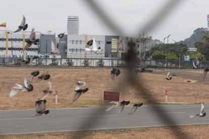 14112022 JUAN PONCE PELIGROS PARA AVIONESD REPRESENTAN LOS PAJAROS 14 DE NOVIEMBRE DEL 2022 ag-periodistas