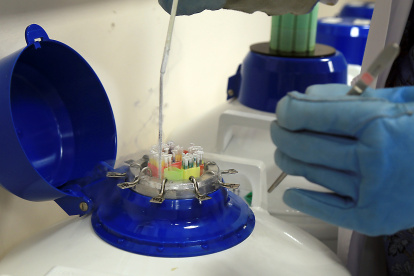 En la imagen de archivo, un banco de semen.