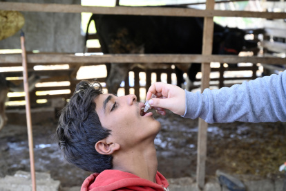 Un niño sirio recibe una vacuna oral contra el cólera durante una campaña de vacunación en la aldea de Bhanine, en el Líbano, el 12 de noviembre de 2022. EFE/EPA/WAEL HAMZEH