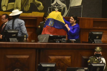 La ahora exconsejera Ibeth Estupiñán ingresó al hemiciclo de la Asamblea ondeando una bandera del país.