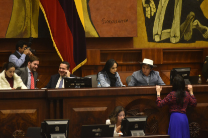 La propia Asamblea debe solicitar al CNE el listado con los resultados de la elección de 2019 de los consejeros de Participación.