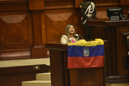 Consejera. María Fernanda Rivadeneira acomoda la bandera que llevó su compañera Ibeth Estupiñán. Durante dos horas ejerció su derecho a la defensa.
