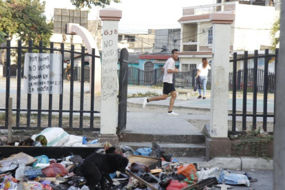 En el botadero de basura meten mano hasta los perros. Este se ubica frente a la cooperativa Assad Bucaram, en el otro extremo.