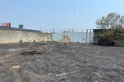 Control. Los bomberos calmaron las llamas en media hora.