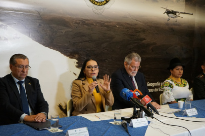 La Asamblea pidió información a la Función Electoral tras la censura y destitución de cuatro consejeros de Participación.