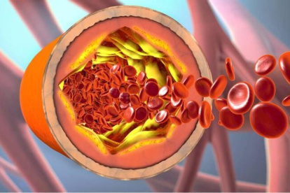 Función del colesterol bueno y malo