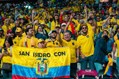 La Comisión Disciplinaria de la FIFA, abrió un expediente ante la Federación Ecuatoriana de Fútbol debido a los cánticos de los hinchas.