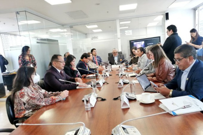 La Comisión del Derecho a la Salud y Deporte alista un proyecto de ley sobre las enfermedades catastróficas y raras