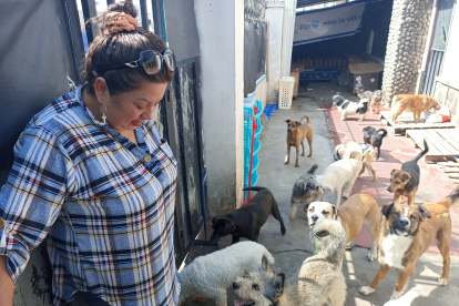 Abandono. Nadie se hace responsable del abandono de los animales de compañía. Sandra Ojeda cumple una labor voluntaria. Así como ella, hay muchos.