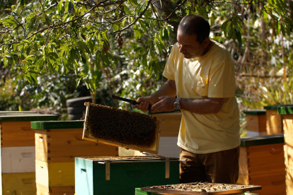 Rodrigo Labra, apicultor de la Isla, trabaja en sus colmenas el 20 de noviembre 2022, en Isla de Pascua, (Chile). EFE/Rodrigo Saez