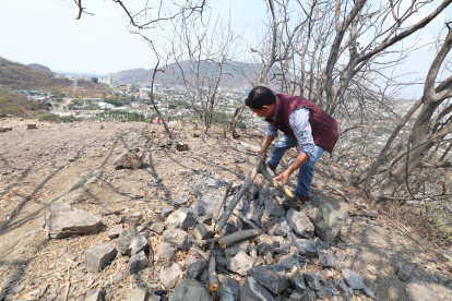 Con frecuencia, ambientalistas visitan los cerros protectores para destruir los fogones que allí se levantan.