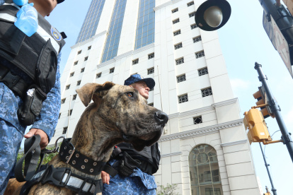 Desde junio, los canes rondan distintos puntos de la ciudad junto a sus guías.