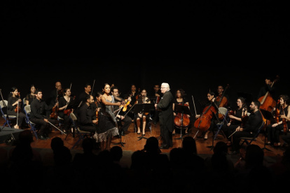 Actividad. La Orquesta Antonio Vivaldi en una de sus presentaciones.