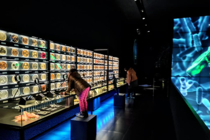 El museo. En este particular sitio, los visitantes pueden observar imágenes tomadas bajo el microscopio y ampliadas miles de veces.