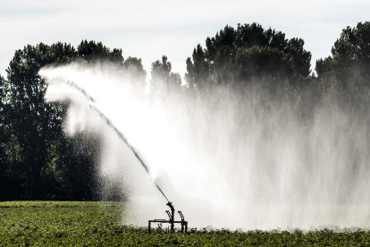 En la imagen de archivo, un granjero riega su campo en Landelijk, Países Bajos.  //Remko de Waal