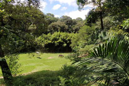 Imagen de las instalaciones del Parque Zoológico de São Paulo. Cedida por la Universidad de Málaga.