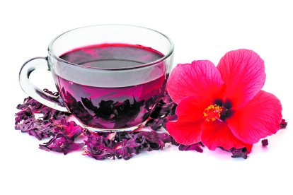 Hibiscus tea,  flower and dry blossom isolated on white background