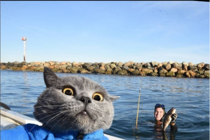 Destacado. Su verdadero nombre es Prince Michael.