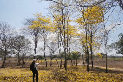 Las especies. Cada semana decenas de familias guayaquileñas y de otros cantones llegan a pasar el día.