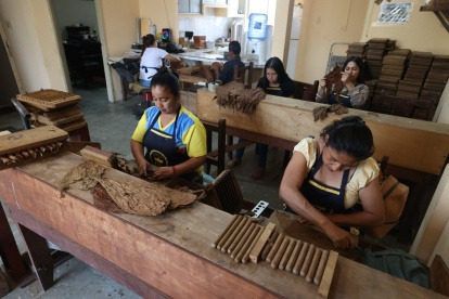 Tarea. En esta empresa familiar, la mayoría de la plantilla son mujeres que se encargan de enrollar las hojas.