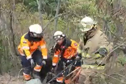 Bomberos. A través de un video se observó la labor de rescate.