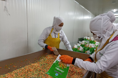 Producción.- Personal que trabaja en la empresa donde se elaboran productos IceMan.