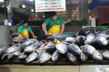 Personal. Hay cerca de 400 trabajadores solo en la parte de mariscos. Venden pesca negra y blanca.