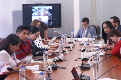 La Comisión de Desarrollo Económico se encarga del debate del proyecto de ley.