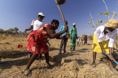 El personal prepara la tierra para el abono en un vivero de plántulas de árboles administrado por My Trees Trust en Deve, en el norte de Zimbabue.