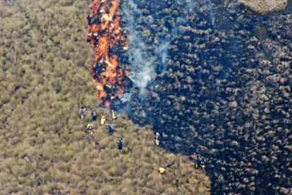 Acciones. Varias instituciones colaboraron en las tareas.