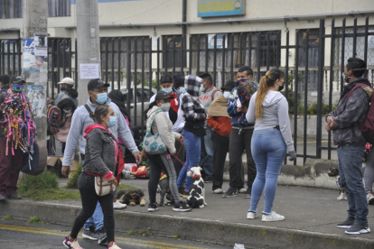 Ambato. Comerciantes ofrecen perros en los alrededores del mercado. Cuando no los venden, los abandonan.