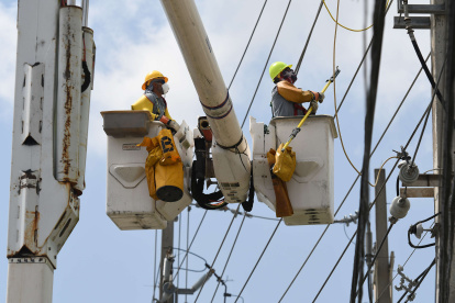 Labor.- Brigada de la Autoridad de Energía Eléctrica (AEE) trabajan reparación de tendido eléctrico en Puerto Rico.