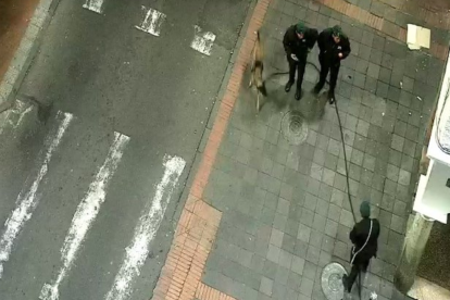 La Policía Nacional, con sus unidades especializadas, inspeccionaron las zonas de las alertas.