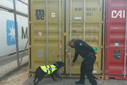 Operativos. Uno de los últimos decomisos de drogas se realizó en un contenedor de cacao de exportación.