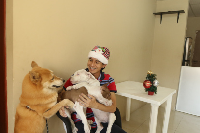 Fiestas. Los foráneos que no retornan a casa por Navidad optan por celebrar con amigos, e incluso mascotas.