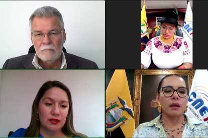 El pleno del Consejo Nacional Electoral sesionó de manera virtual.