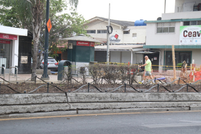 EN ALGUNOS TRAMOS DE LA AV VICTOR EMILIO ESTRADA, LAS PLANTAS LUCEN SECAS...ALEX LIMA.....25-12-2022