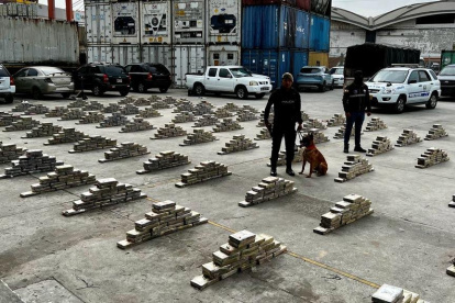 Decomiso. El can Renegal contribuyó en el hallazgo del cargamento.