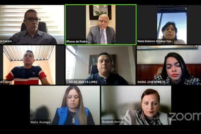 Los comisionados dijeron que trabajaron siete semanas de manera ardua. Se reunieron este 27 de diciembre de forma virtual.