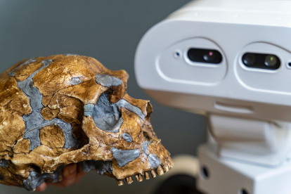 Molde de un cráneo de neandertal y el robot Tiago de PAL Robotics (Barcelona) en la Universidad Técnica de Delft en Países Bajos. Imagen facilitada por el investigador Pablo Lanillos.