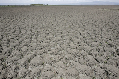 Paisaje lunar de polvo y suelo agrietado en la parte suroeste del Lago Naivasha, en Kenia. Archivo EFE/STEPHEN MORRISON